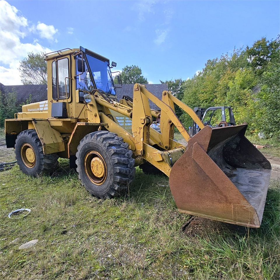 Fiat-Allis FR10 - Radlader: das Bild 2 Fiat-Allis FR10 - Radlader: das Bild 2