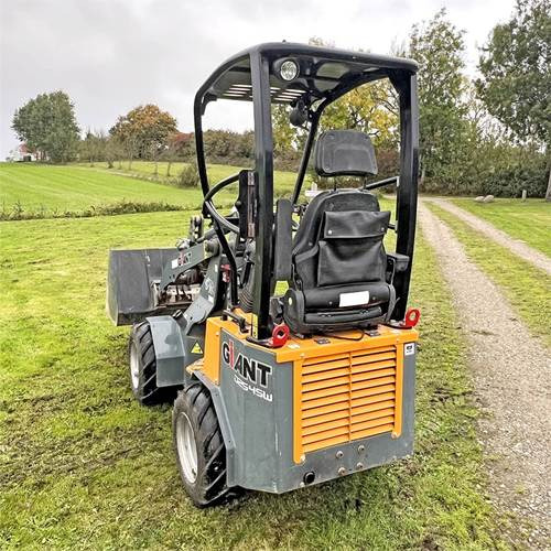 Giant D254SW - Kompaktlader: das Bild 5 Giant D254SW - Kompaktlader: das Bild 5