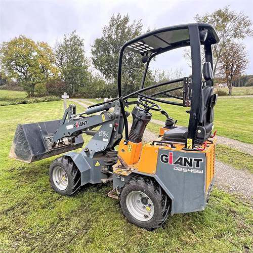 Giant D254SW - Kompaktlader: das Bild 3 Giant D254SW - Kompaktlader: das Bild 3