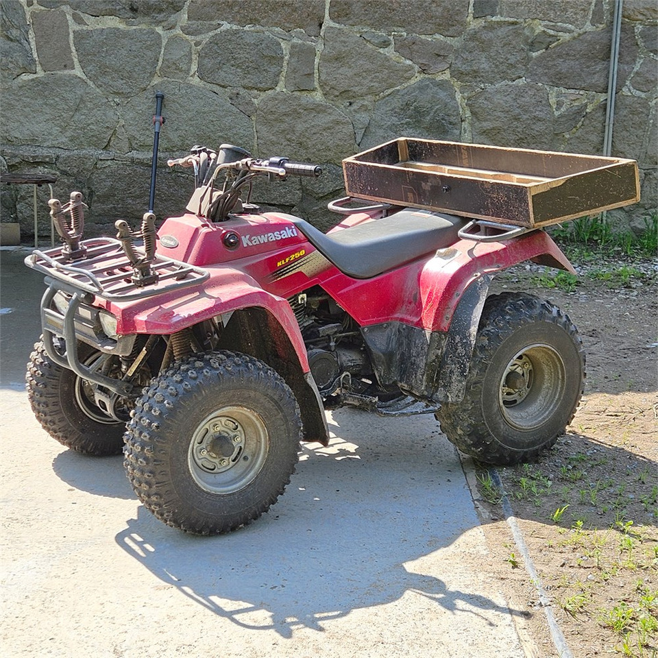 Kawasaki KLF 250 - Quad: das Bild 1 Kawasaki KLF 250 - Quad: das Bild 1
