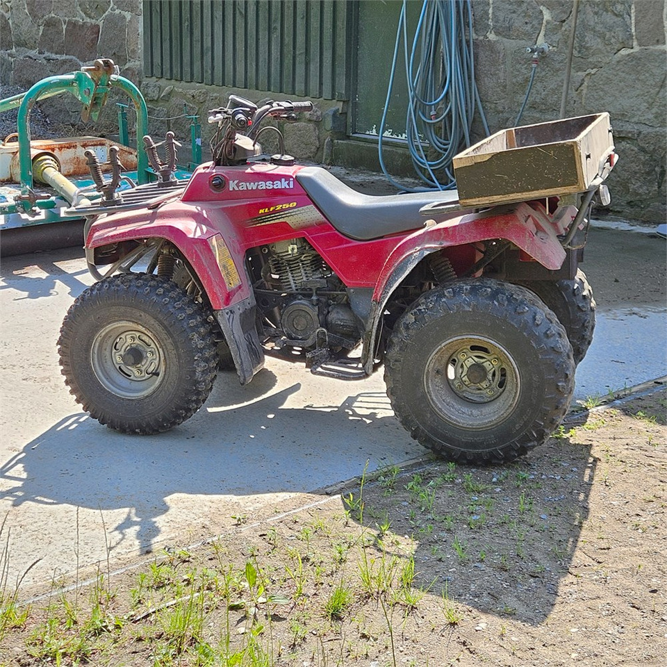 Kawasaki KLF 250 - Quad: das Bild 3 Kawasaki KLF 250 - Quad: das Bild 3