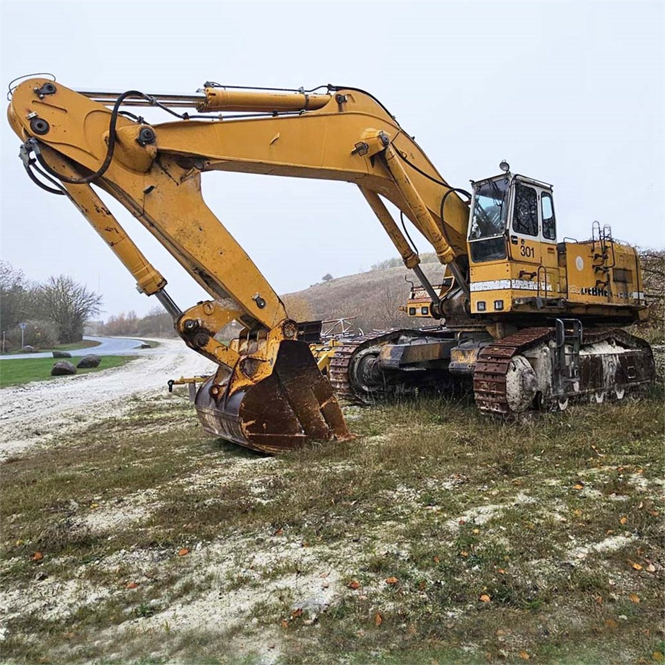 Liebherr R984 - Kettenbagger: das Bild 5 Liebherr R984 - Kettenbagger: das Bild 5