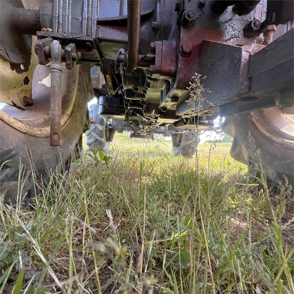 Kommunaltraktor TYM T 431: das Bild 40