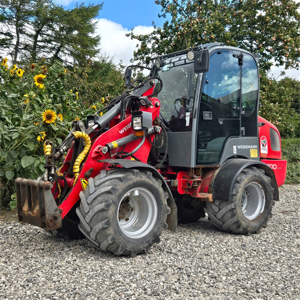 Weidemann 1370 CX50 - Kompaktlader: das Bild 1 Weidemann 1370 CX50 - Kompaktlader: das Bild 1