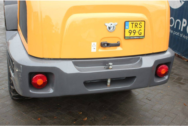 Radlader Case 21F: das Bild 19