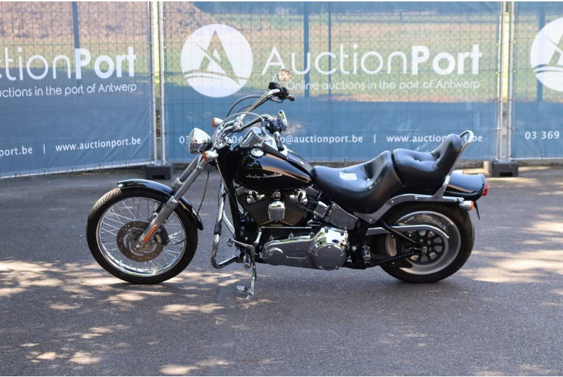 Harley-Davidson Softail Custom - Motorrad: das Bild 2 Harley-Davidson Softail Custom - Motorrad: das Bild 2