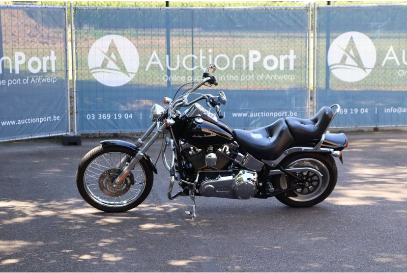 Harley-Davidson Softail Custom - Motorrad: das Bild 1 Harley-Davidson Softail Custom - Motorrad: das Bild 1