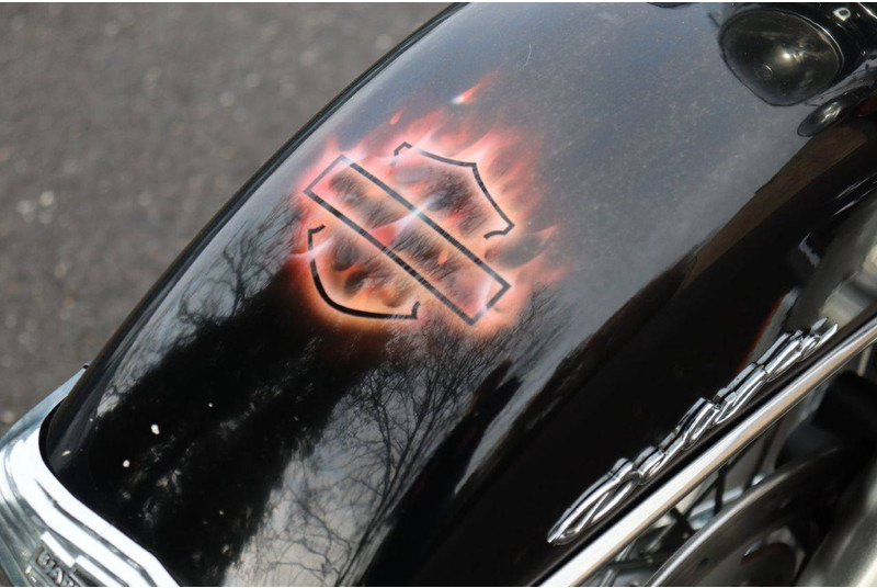 Motorrad Harley-Davidson Softail Deluxe: das Bild 13 Motorrad Harley-Davidson Softail Deluxe: das Bild 13