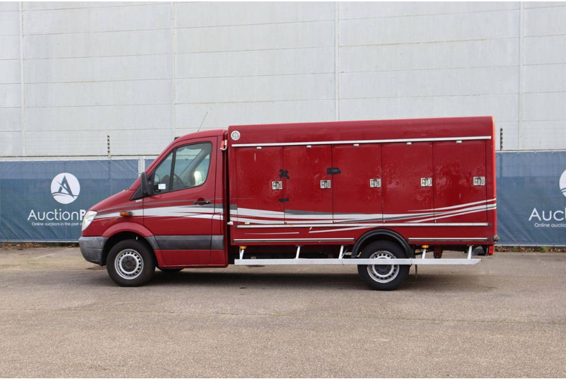 Mercedes-Benz 313CDI - Koffer Transporter: das Bild 3 Mercedes-Benz 313CDI - Koffer Transporter: das Bild 3