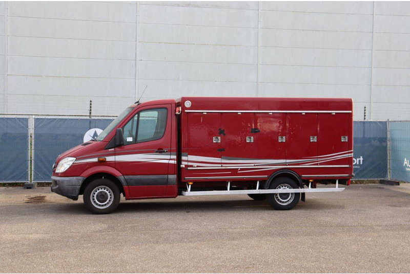 Mercedes-Benz 313CDI - Koffer Transporter: das Bild 1 Mercedes-Benz 313CDI - Koffer Transporter: das Bild 1