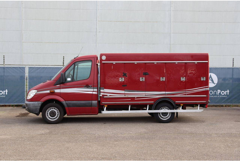 Mercedes-Benz 313CDI - Koffer Transporter: das Bild 2 Mercedes-Benz 313CDI - Koffer Transporter: das Bild 2