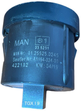 MAN 2019 - Armaturenbrett: das Bild 2 MAN 2019 - Armaturenbrett: das Bild 2