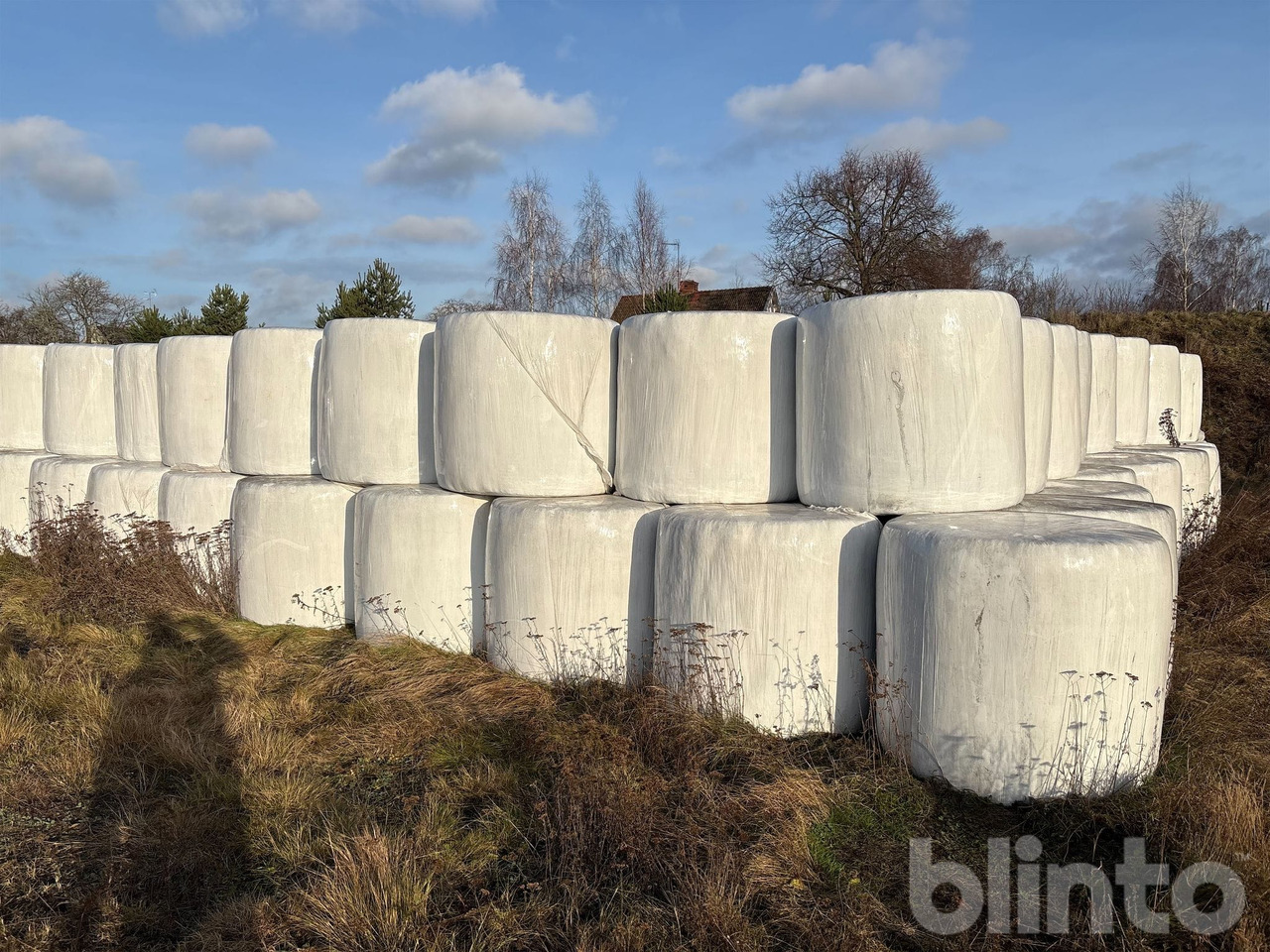 2:a skörd - Silotechnik: das Bild 2 2:a skörd - Silotechnik: das Bild 2