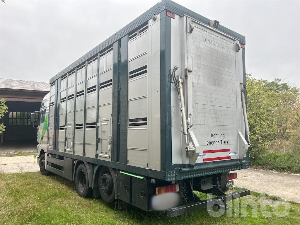 MAN TGA 26.419 MAN (2002) - Tiertransporter LKW: das Bild 4 MAN TGA 26.419 MAN (2002) - Tiertransporter LKW: das Bild 4