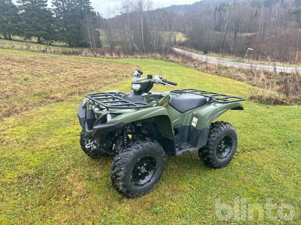 YAMAHA Grizzly 700 - Quad: das Bild 1 YAMAHA Grizzly 700 - Quad: das Bild 1