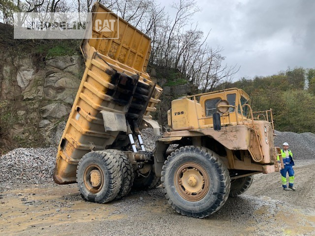 Cat 769 - Dumper Starr: das Bild 3 Cat 769 - Dumper Starr: das Bild 3