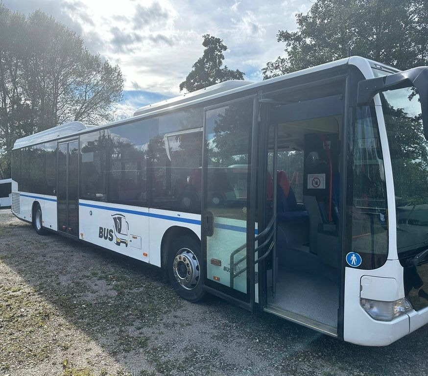 Mercedes-Benz 2x O 530 Citaro LE (50 Sitze) - Linienbus: das Bild 5 Mercedes-Benz 2x O 530 Citaro LE (50 Sitze) - Linienbus: das Bild 5